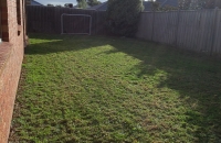 After Doreen Tidy Back - Lawns were 2 ft high